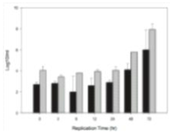 세포배양법과 정량 PCR법을 이용한 NNV 증식곡선 비교 (검정색: qPCR, 회색: TCID50)