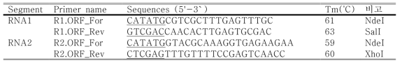 NNV RNA1, RNA2 ORF 클로닝을 위한 primer