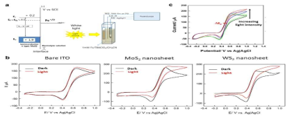 a) 반도체 MX2 나노소재 계면의 에너지 그림, b) 질소분위기 하에서 1.1 mM ferrocene/ 0.1 M TBA·ClO4/CH3CN 용액의 순환전압전류 그림, 20 mV s-1, c) 빛의 세기 증가에 따른 순환전압전류 그림