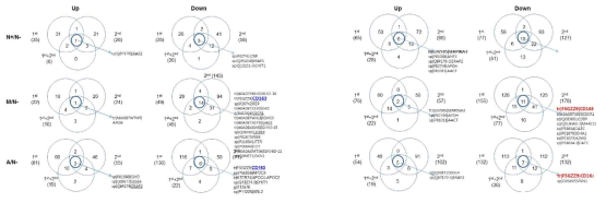 정상군 및 환자군의 혈장을 이용한 Global & Glyco 프로테오믹스 결과 (N-: CN- N+: NDAN, M: MCI+, A: AD+)