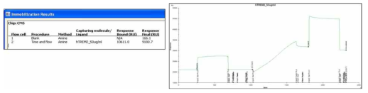 TREM 2와 아밀로이드 베타 42 binding assay