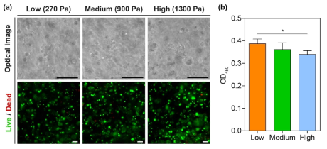 IPN 하이드로젤의 기계적 강도에 따른 3차원 종양세포 활성 평가. (a) 3차원 배양 후 세포 형상 및 세포 생사 평가; (b) WST-1 assay을 이용한 세포 활성 정량 평가