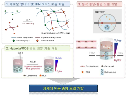 차세대 인공 종양-혈관 모델 개발 모식도