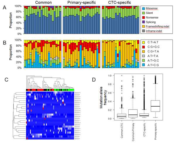 Three mutation categories and mutation analysis