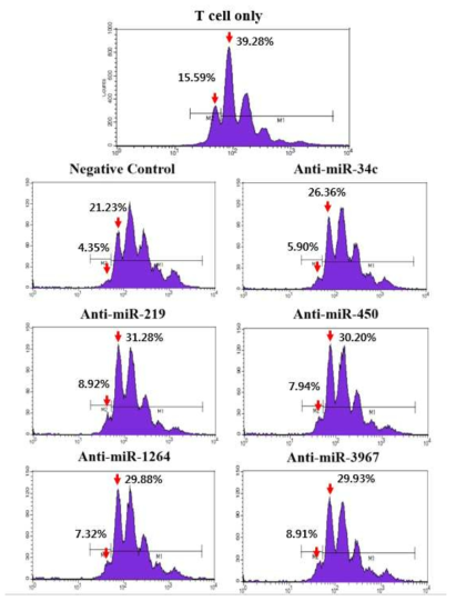 miRNA 발현 억제에 따른 T 세포 분열능의 증가. miRNA 억제제를 도입한 MDSC와 CFSE로 세포막을 표지한 T 세포를 함께 배양한 후 T 세포 분열 정도를 FACS로 분석함. miRNA 발현 억제에 따른 MDSC 기능 억제로 인해 T 세포 분열이 대조군에 비해 현저히 증가함이 관찰되었음