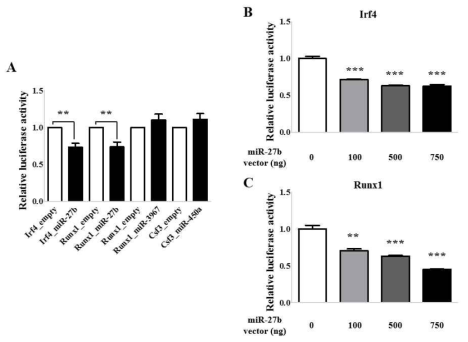 miRNA에 의한 표적 mRNA의 억제 효과. 293T 세포에 miRNA 발현 벡터와 표적 mRNA 서열을 포함한 luciferase 발현 벡터를 동시에 도입하여 luciferase activity를 측정함. miR-27b에 의하여 Irf4와 Runx1 서열을 포함한 luciferase의 발현이 대조군에 비해 유의하게 감소함을 확인하였음