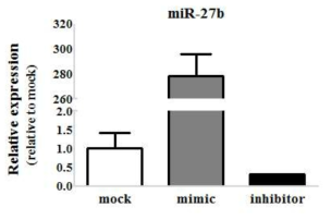 miRNA inhibitor 및 mimic에 의한 miRNA의 발현량 변화. A549 세포와 마우스 CD4+ T 세포에 miR-27b mimic 및 miR-27b inhibitor를 도입하여 이에 의해 miR-27b 발현양이 변화함을 확인하였음