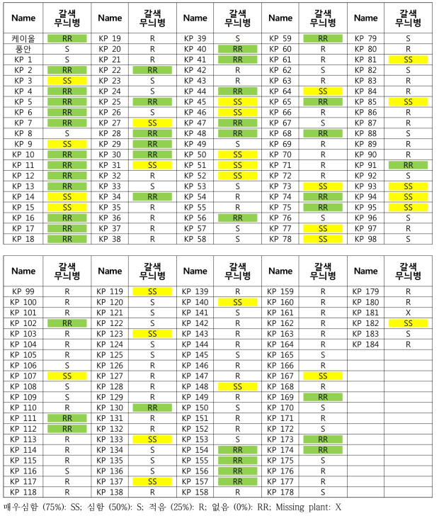 케일올X풍안 유전집단에 대한 갈색무늬병 병 스크리닝 결과