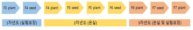 고밀도 유전지도 제작을 고세대 RIL 유전집단 양성