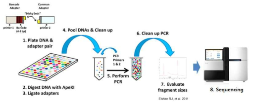 Genotyping by sequencing (GBS) 기술을 이용한 고밀도 유전자 지도 작성