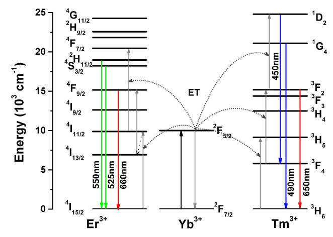 Tm3+, Yb3+, Er3+ 이온 간의 에너지전달 과정