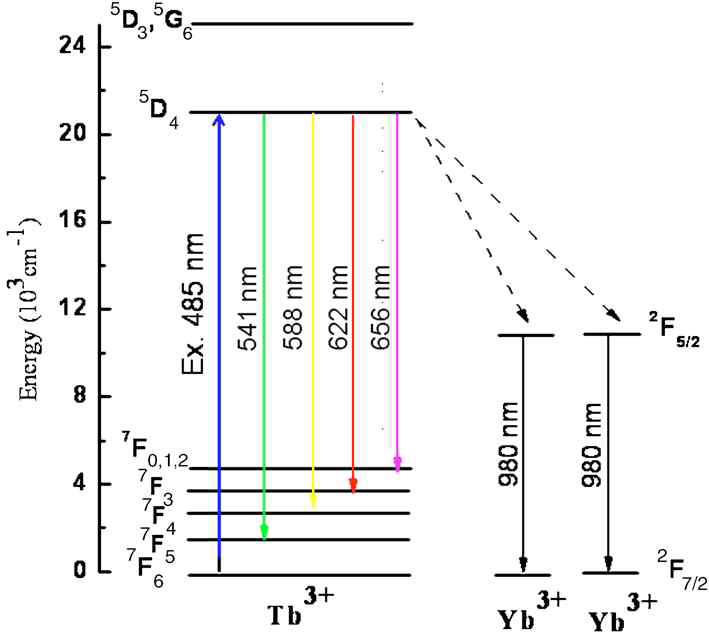 Tb3+ 이온과 Yb3+에 의한 양자분할의 모식도