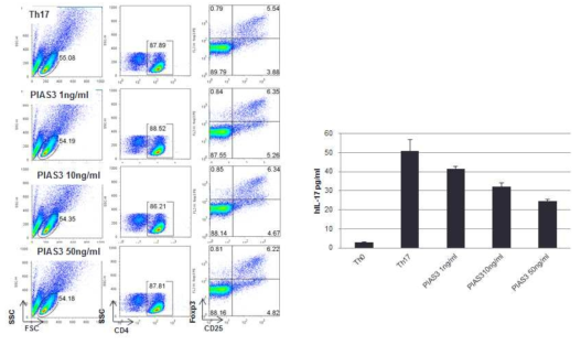 루푸스 환자 면역세포에서 PIAS3 peptide에 의한 Treg 및 IL-17 활성 조절