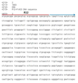 세포 투과성을 증가 시킨 R12-PIAS3 시퀀싱