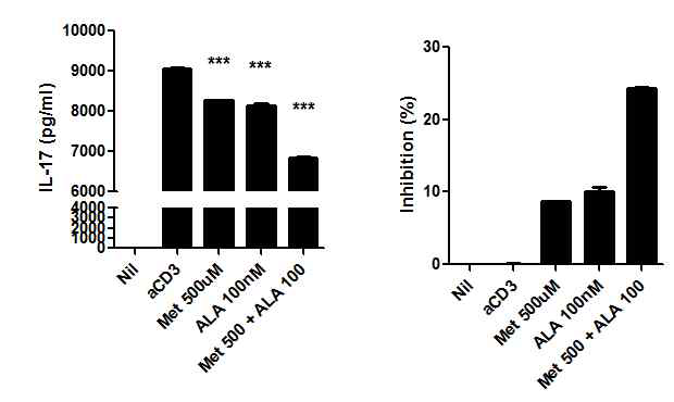 Metforin과 ALA에 의한 IL-17 활성 억제 극대화
