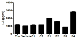 B 세포내 PIAS3 PINIT domain peptide의 작용