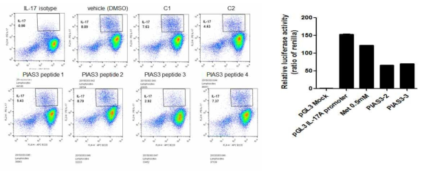 B 세포내 PIAS3 PINIT domain peptide IL-17에 대한 작용과 IL-17 활성 조절 작용