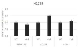 Increased expression of cancer stem cell marker genes on H1299-cisR