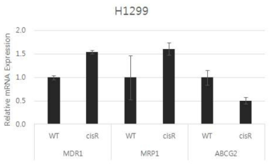 Increased expression of drug resistance marker genes on H1299-cisR