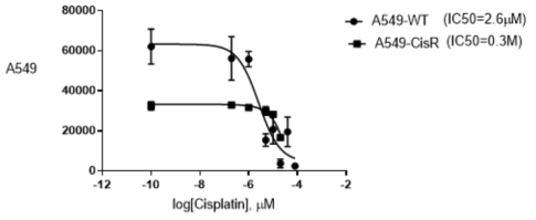 A549 cell exhibits a significant increase in IC50 concentration after repeating treatment of cisplatin