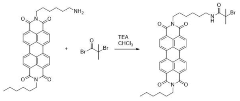 한쪽 말단기가 amine기로 치환된 perylenedicarboximide 분자를 고분자 합성을 위한 initiator로 합성하기 위한 과정