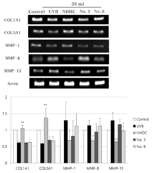 Effect of NHDC derivatives on ECM production in UVB-irradiated human dermal fibroblasts in RNA level