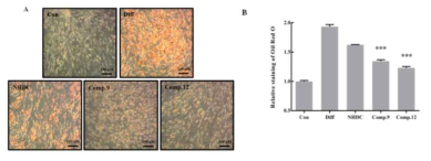 Effect of NHDC and its derivatives on adipogenic differentiation