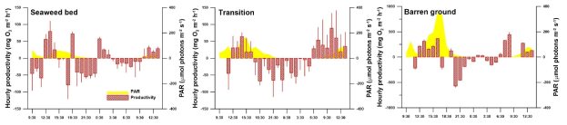 챔버 시스템을 활용하여 측정한 시간당 순 일차생산량 자료(bar graph)와 현장 광량(yellow)