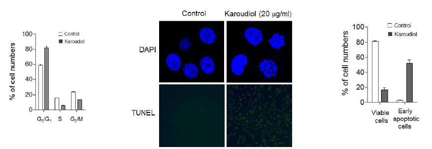 Cell cycle assay, DAPI and TUNEL assay by Karounidiol treatment