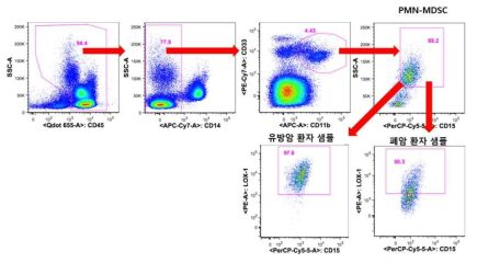 유방암, 폐암 환자의 혈액 PBMC 내 PMN-MDSC 특이 마커 발현 분석