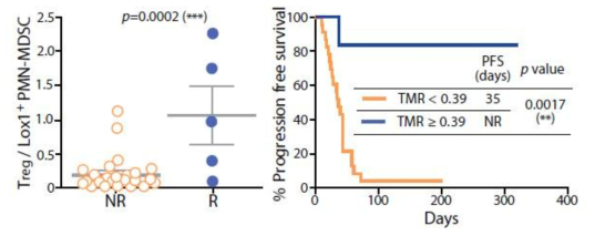 항암면역치료 받은 비소세포성폐암 환자들의 혈액 내 Treg, Lox-1+PMN-MDSC의 비율과 예후와의 연관성. NR: non-responder, R: responder