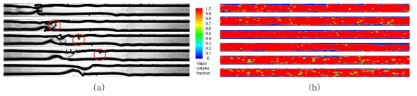 (a) 액체-기체 경계면에서의 액적동반 현상 (b) 소형유로 내부 FC-72 액막 파형 수치해석 결과