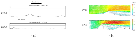 (a) 액막 파형의 항력계수 계산을 위한 수치해석 모델링, (b) 성층 유동 내 액막 파형 근처의 속도 벡터