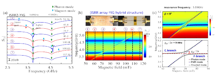 VNA-FMR 측정을 통해 얻은 ISRR array와 YIG 결합 데이터 (a) 2개의 ISRR과 YIG 사이의 결합구조에서 얻은 주파수와 |S21| 그래프 (b) 2개의 ISRR과 YIG 결합구조에 대한 |S21| 투과도를 외부 자기장과 주파수로 나타낸 스펙트럼. (c) ISRR array-YIG 복합구조에서 결합된 조화 진동자 모델을 이용하여 결합세기를 구한 결과 ISRR array-YIG 복합 구조에서는 광자의 공진주파수 부근에서 서로 anti-crossing을 일으키며, 그 주변에서 마그논 모드의 신호가 강해진다