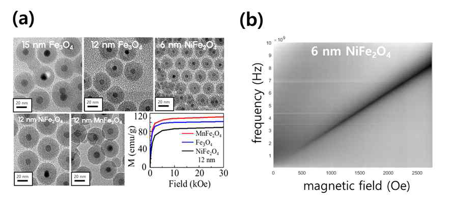 (a) 다양한 크기 및 도핑 물질의 산화철 초상자성 나노입자 및 (b) 초상자성 나노입자의 강자성 공명모드 (FMR) 실험적 관찰