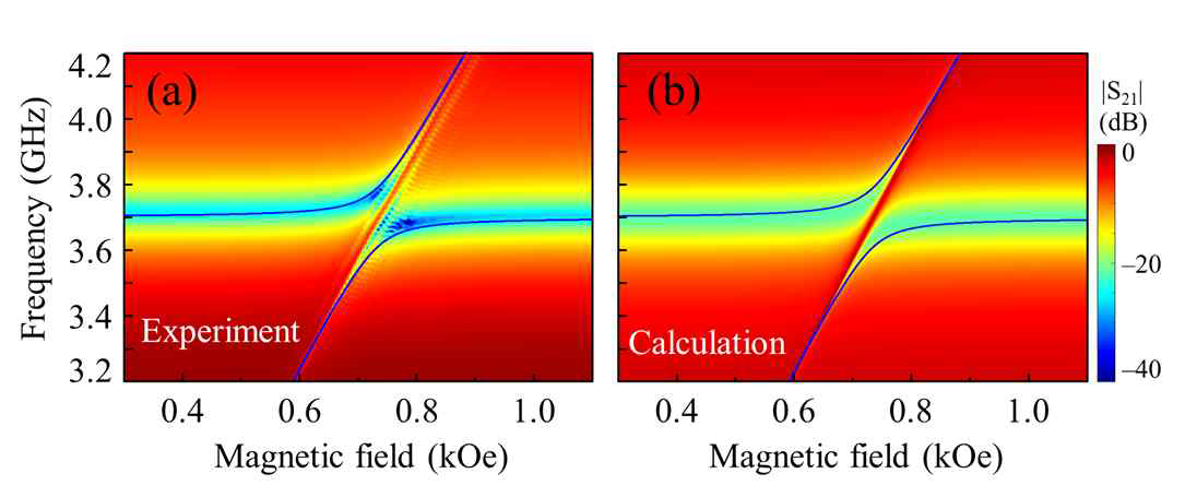 ISRR/YIG 복합 구조에서 일어나는 마그논-광 상호작용의 (a) 실험 측정 결과와 (b) 등가 회로 모델을 이용한 전산모사 결과. (a) 의 파랑 실선은 결합 조화 진동자 모델을 사용한 피팅 결과이고 (b) 의 파랑 실선은 전산모사를 이용하여 계산된 각 자기장에서의 주파수 스펙트럼에서 |S21| 의 극솟값들을 나타낸 것. (a)와 (b)의 파랑 실선이 각각 나타내는 이론계산과 전산모사의 결과가 매우 잘 일치함을 볼 수 있다