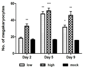 Megakaryocytes 수 측정결과