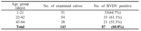 Prevalence of BVDV infection according to age group of calves