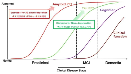 알츠하이머 병 진행단계에 따른 바이오마커: 인지기능이 정상일 때부터 아밀로이드의 침착은 진행되다가 임상 증상이 나타나는 시점에서는 포화가 나타남. 그 후 신경손상을 반영하는 타우가 증가한 후에 뇌 구조에 대한 변화가 일어남