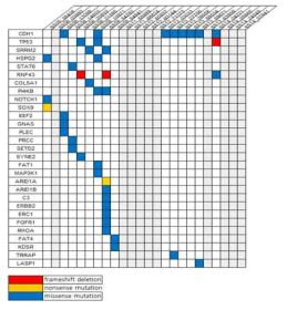 oncogrid plot