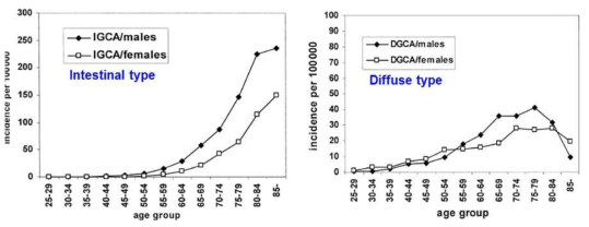 Incidence of gastric cancer according to gender and pathologic type