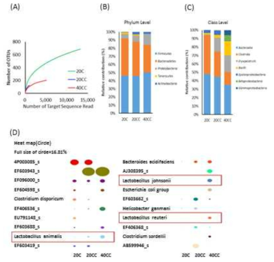 High protein diet-induced differential gut microbiome in azoxymethane-induced mouse colon carcinogenesis. (A) CD-HIT rarefaction curves. Rarefaction analysis of V₁-V₃ region pyrosequencing tags of the 16S rRNA gene in fecal microbiota from 20C, 20CC, and 40CC mice. The taxonomy composition of gut microbiota in phylum (B) and class (C) level. Genomic DNA was extracted from the fecal samples. Sample were analyzed for the bacterial composition by pyrosequencing of the bacterial 16S rRNA V₁-V₃ region. (D) Circle type heat map of relative percent abundance of major taxa in species level. Circle size indicates relative composition of each taxon [full size of circle indicates 16.81%]. Minor taxa that individual composion was less than 1% were excluded. 20C, 20% casein; 20CC, 20% casein + AOM and DSS; 40CC, 40% casein + AOM and DSS