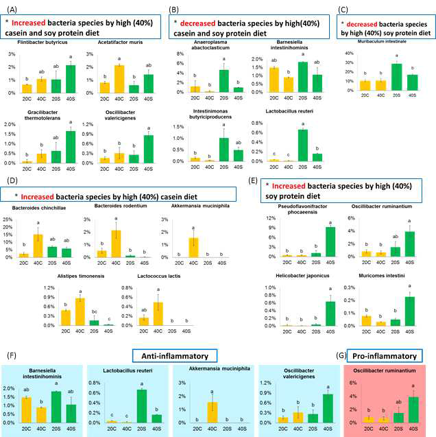 Effects of long-term feeding of high protein diet on mouse gut microbiome. Relative percent abundance of major taxa in species level. Increased (A) and decreased (B) bacteria species by high casein and soy protein diet. (D) Increased bacteria species by high casein diet. Increased (E) and decreased bacteria species by high soy protein diet. The change of anti-inflammatory bacterias(F) and pro-inflammatory bacteria(G) by high protein diet or protein source. 20C, 20% casein; 20CC, 20% casein + AOM and DSS; 40CC, 40% casein + AOM and DSS