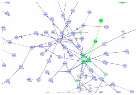 KEGG; cancer pathway