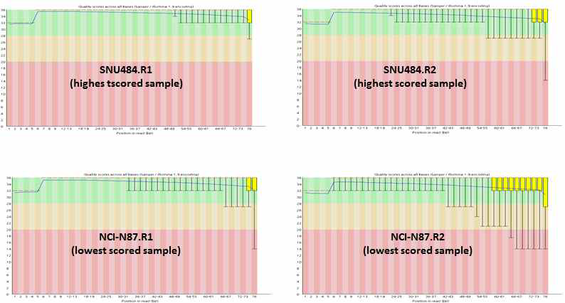 RNA-seq 결과 염기서열 분석의 quality 확인결과