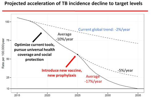 WHO에서 제시한 결핵퇴치를 위한 시기별 전략과 새로운 백신 도입의 필요성