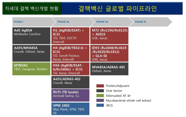 현재 임상중인 다양한 결핵백신개발 현황