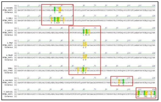 GPCR agonists와 MTBK_35091의 서열비교