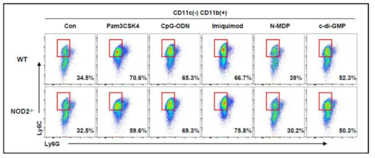 각 agonist로 분화 시킨 cell에서의 monocytic MDSCs population 분석