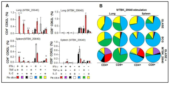MTBK_20640에 면역화 시킨 마우스에서 MTBK_20640 자극에 의하여 유도되는 항원 특이적인 multifunctional CD4 와 CD8 T 세포들을 유세포 분석기를 통하여 분석